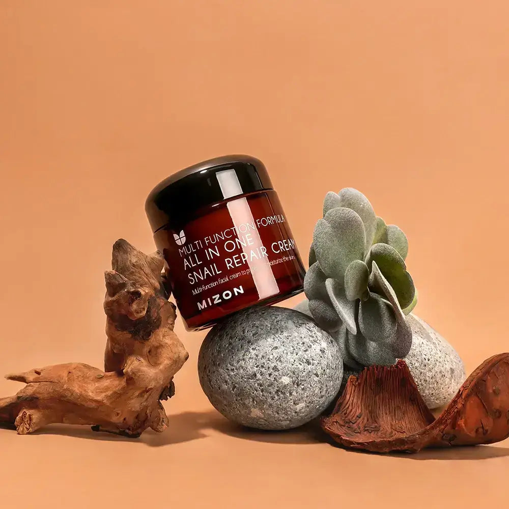 MIZON All In One Snail Repair Cream - Gesichtscreme mit Schneckensekretion und Centella Asiatica zur Feuchtigkeitspflege und Hautberuhigung - 75 ml
