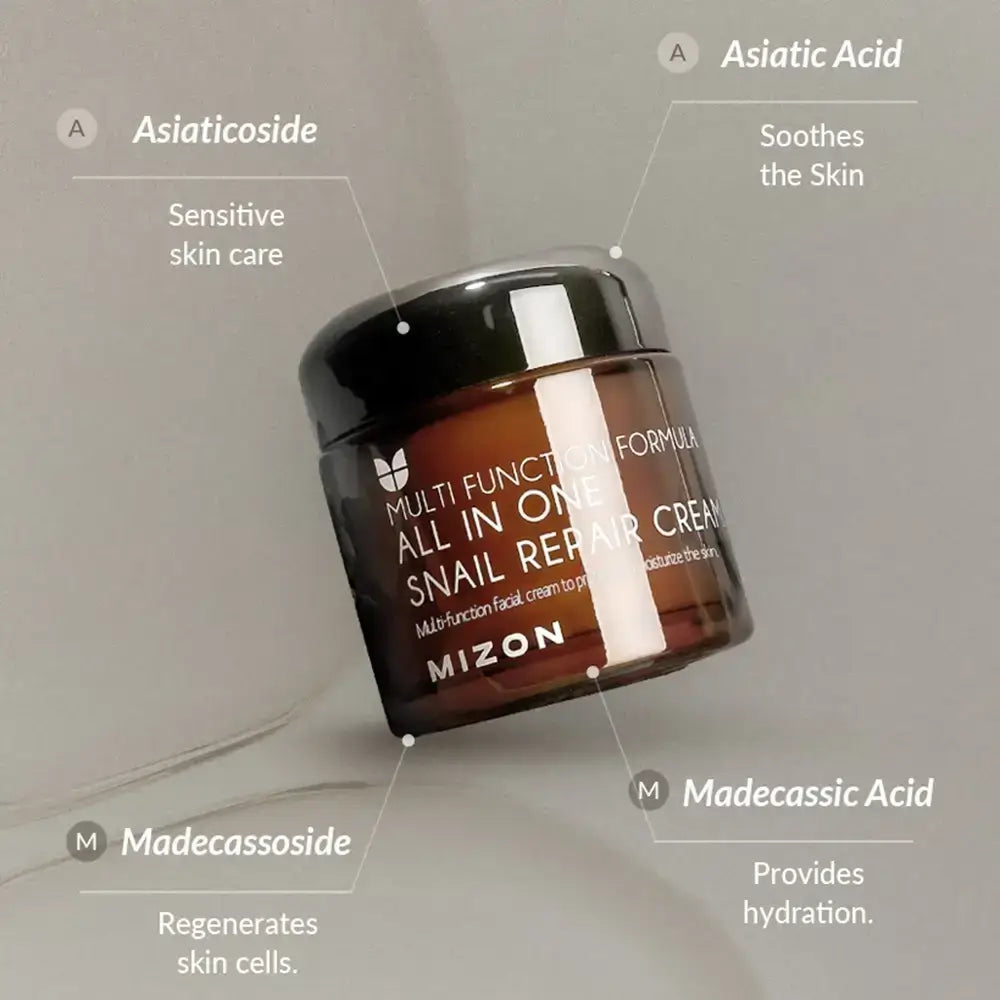 MIZON All In One Snail Repair Cream - Gesichtscreme mit Schneckensekretion und Centella Asiatica zur Feuchtigkeitspflege und Hautberuhigung - 75 ml