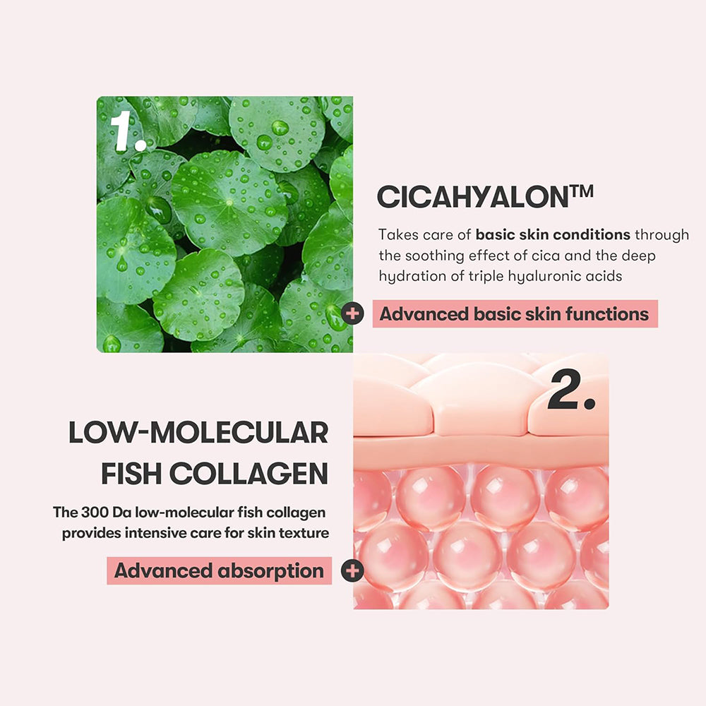 VT COSMETICS Cica Kollagen Creme 300Da - Gesichtscreme mit hydrolysiertem Kollagen 300Da und Hyaluronsäure zur Hautfeuchtigkeit und für Hautkomfort - 30 ml