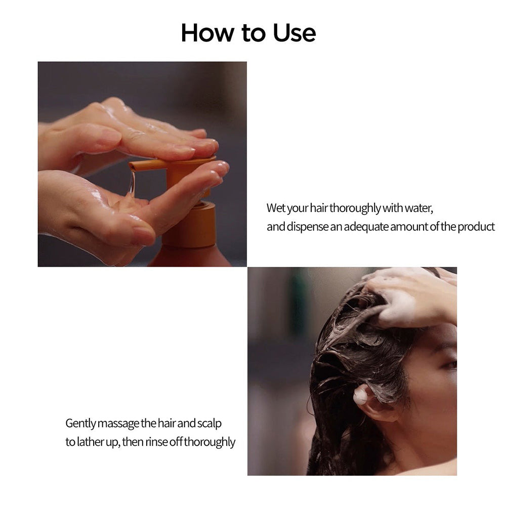 AYUNCHE Enrich Bonding Shampoo