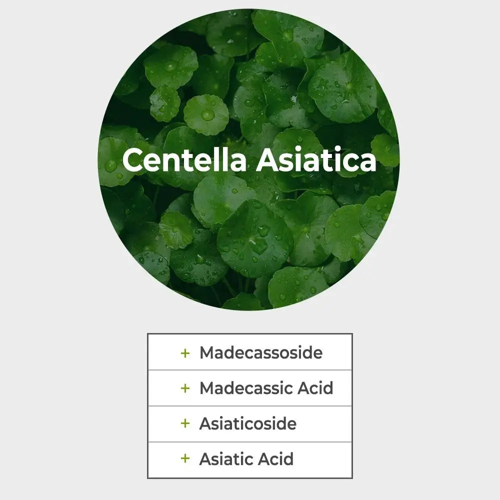 NATURE REPUBLIC Green Derma Mild Cica - Körper- und Gesichtscreme mit Centella Asiatica-Extrakt und Ceramid NP, die zur Hautfeuchtigkeit und zur Erhaltung der Hautbarriere beiträgt - 190 ml