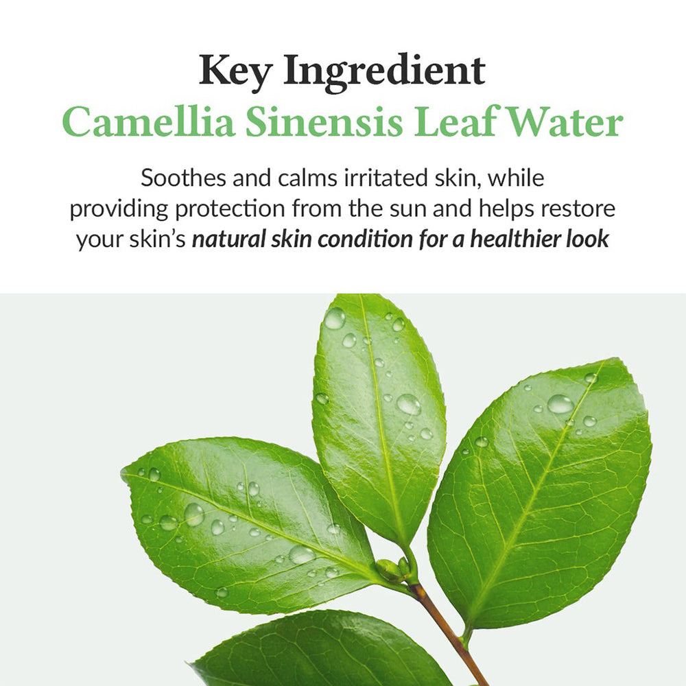 Dr. Althea Grüner Tee Sonnenschutz - Gesichtscreme mit Camellia Sinensis Blattwasser und Centella Asiatica Extrakt, beruhigt empfindliche Haut, UVA/UVB-Schutz SPF50 PA++++ - 45 ml