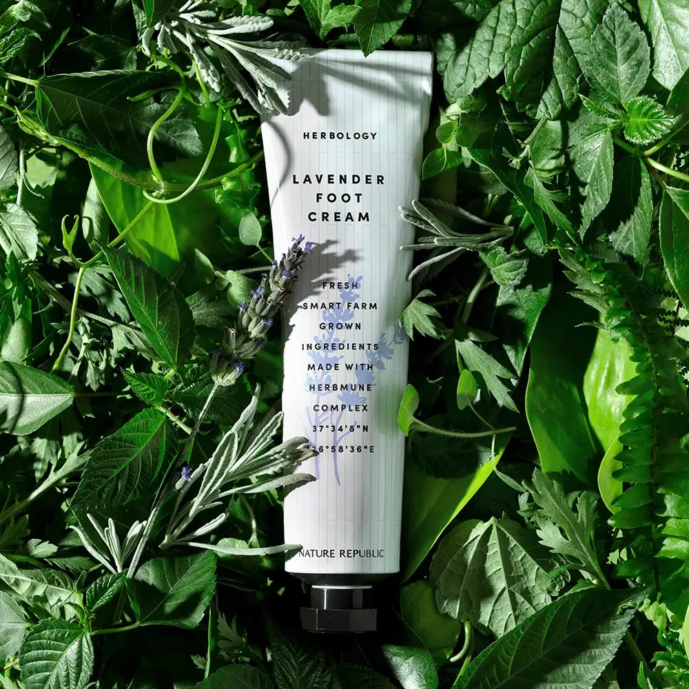 NATURE REPUBLIC Kräuter-Fußcreme Lavendel - Intensive Feuchtigkeit & Regeneration, 70 ml