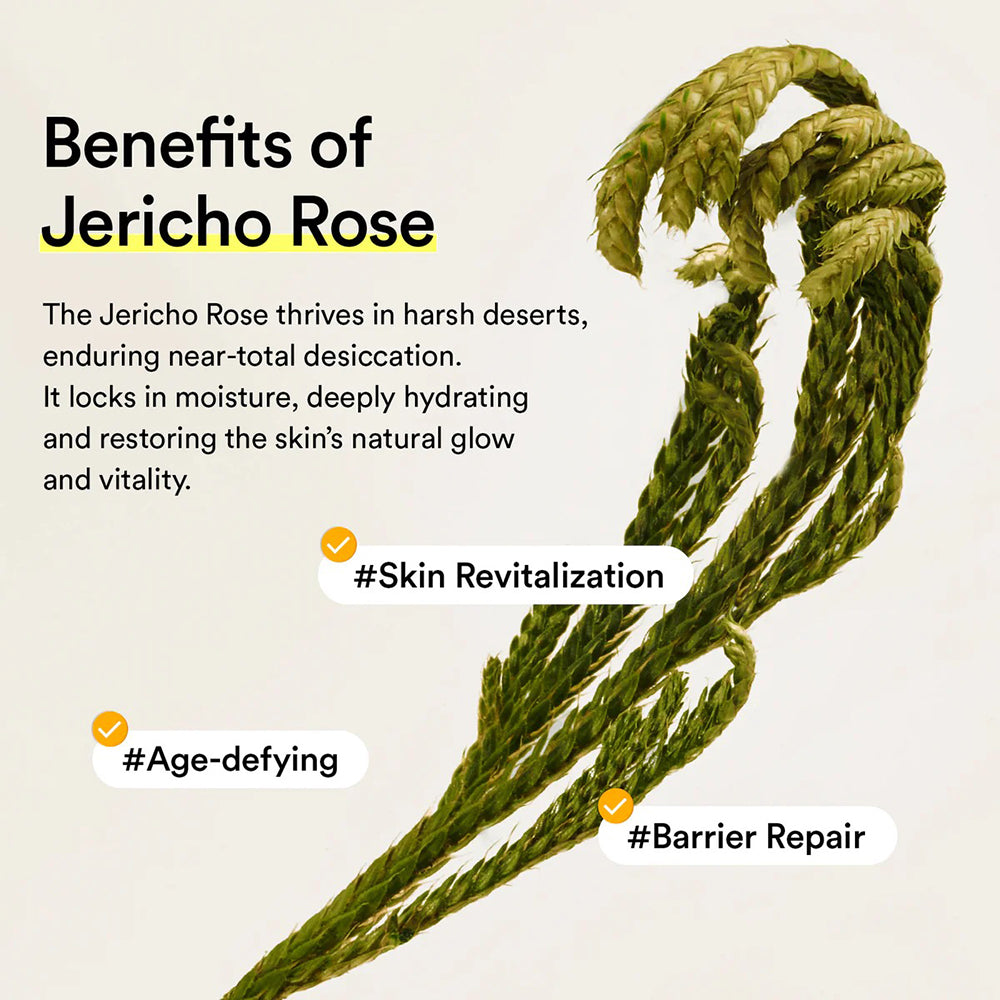 ABIB Jericho Rose Mist Serum Glow Spray