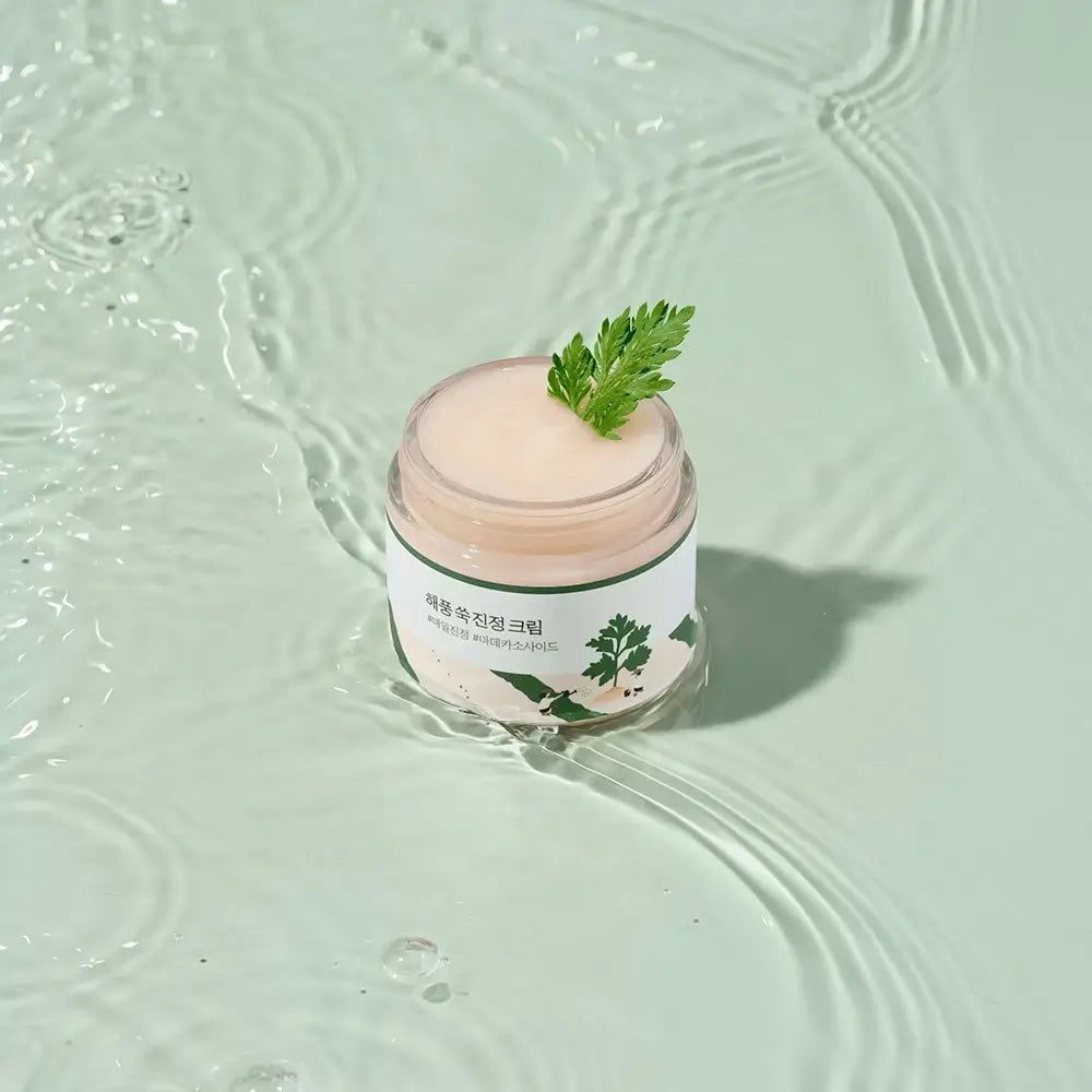 ROUND LAB Beifußöl Beruhigende Creme - Gesichtscreme mit Beifußextrakt und Madecassosid zur Linderung von Hautstress und dunklen Flecken - 80 ml