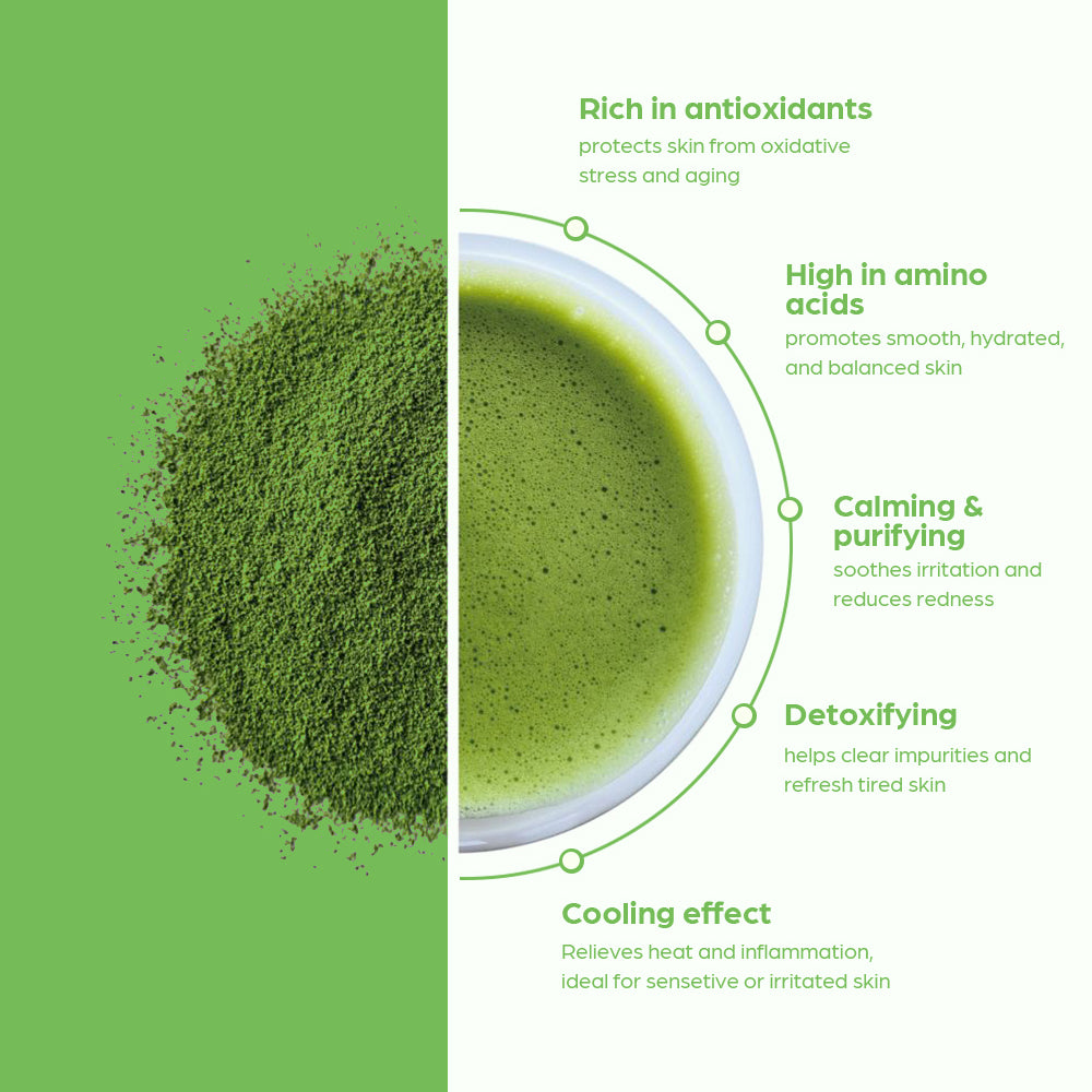 HOUSE OF HUR Phyto Brew Matcha Dual Cream and Gel