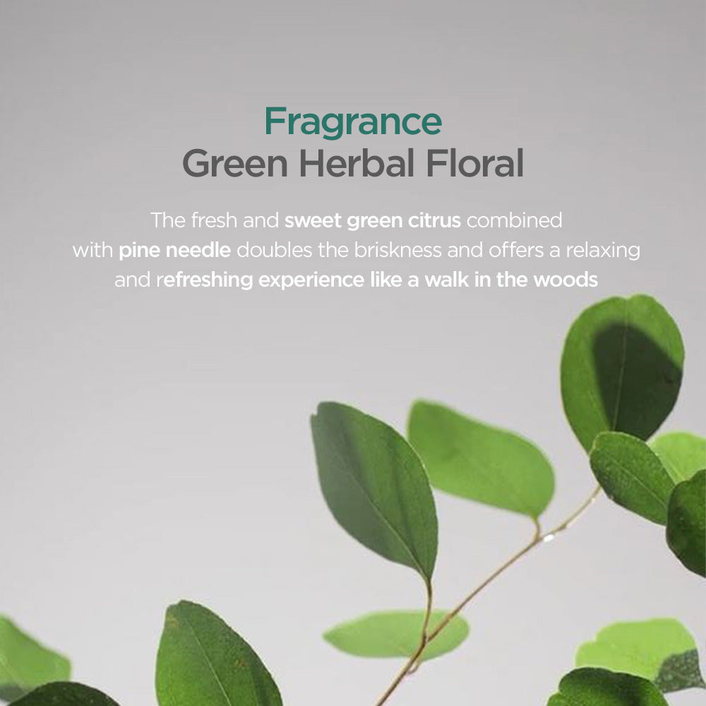 AYUNCHE Rebalancing Serum