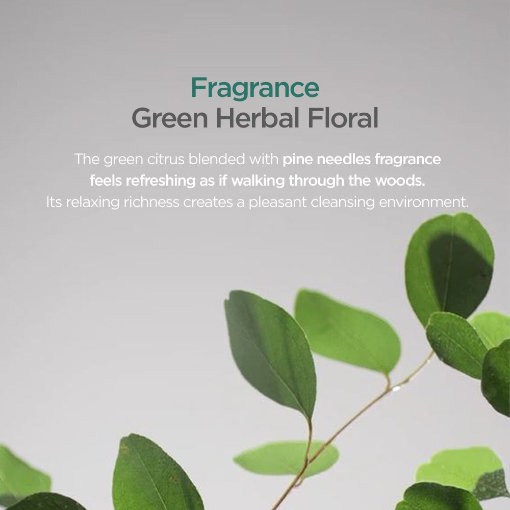 AYUNCHE Rebalancing Shampoo Frische Wäsche - Frische und Reinigung, 200 g