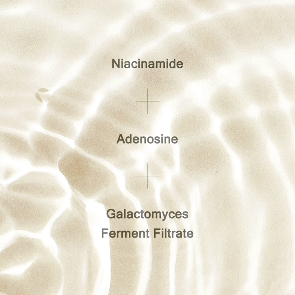 MIZON Skin Power Original First - Essenz formuliert mit Galactomyces Ferment Filtrate und Niacinamid, die zur Angleichung des Hauttons und zur Aufrechterhaltung der Feuchtigkeit beitragen - 210 ml