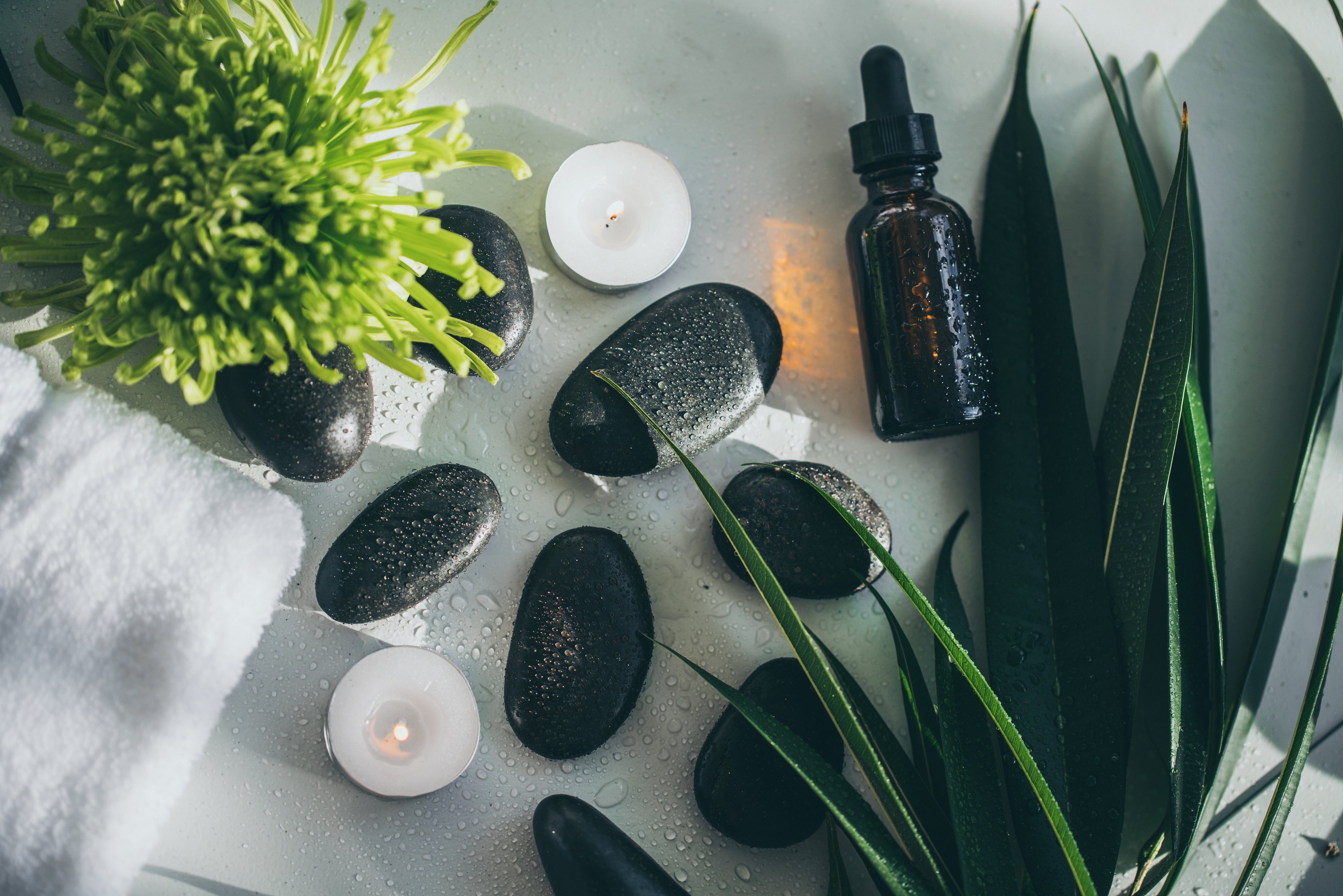 spa-flatlay-ASIA PRIME SHOP