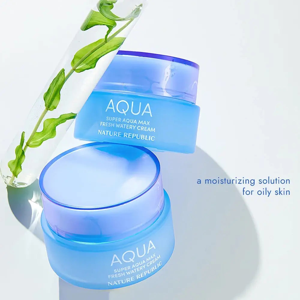 NATURE REPUBLIC Super Aqua Max Fresh Watery - Gesichtscreme formuliert mit reinem Meerwasser aus Neuseeland und revitalisierenden Meeresinhaltsstoffen, die zur Hydratisierung der Haut und zur Aufrechterhaltung des Hautkomforts beitragen - 80 g