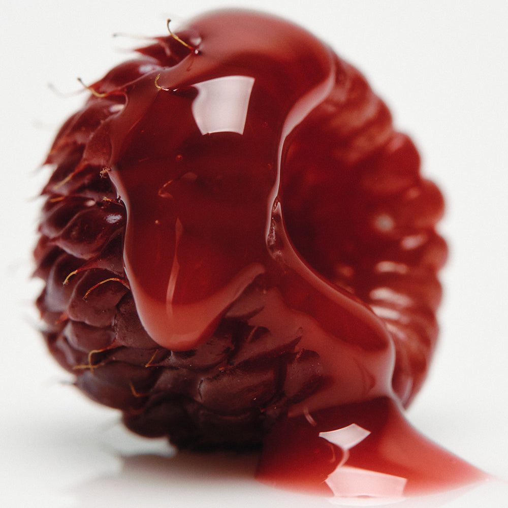 AXIS-Y Vita Glow Lip Oil - Lippenöl mit Himbeerextrakt und Vitamin E, das zur Aufrechterhaltung der Feuchtigkeit und des täglichen Komforts beiträgt - Chilled Berry