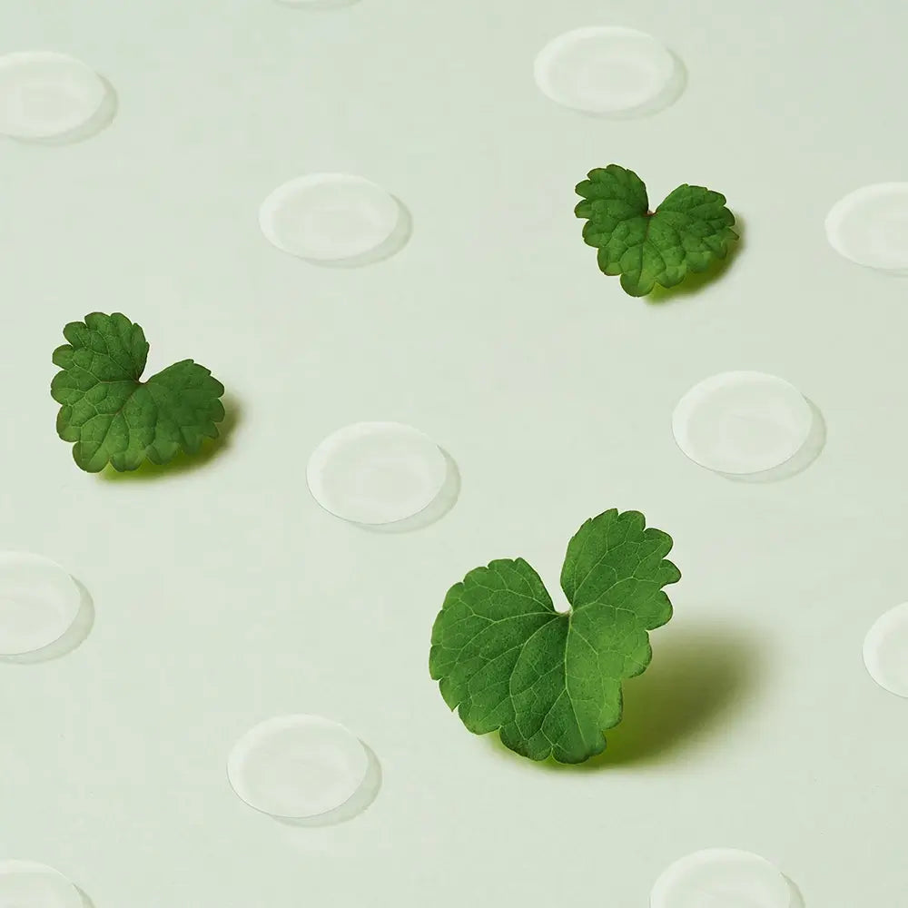 PURITO Wonder Releaf Centella Spot Patch - Pflaster mit koreanischer Centella-Asiatica und Asiaticosid zur Linderung von Reizungen und zur Förderung der Post-Akne-Erholung – 51 Stück