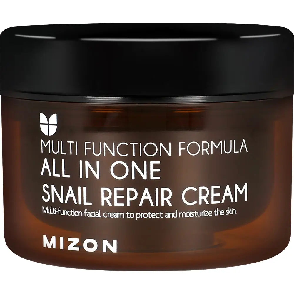 MIZON All In One Schnecken-Reparaturcreme - Gesichtscreme mit Schneckensekretfiltrat und Hyaluronsäure zur Hautfeuchtigkeit und Hautkomfort - 120 ml