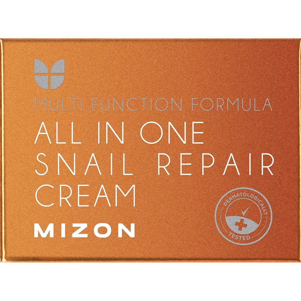 MIZON All In One Schnecken-Reparaturcreme - Gesichtscreme mit Schneckensekretfiltrat und Hyaluronsäure zur Hautfeuchtigkeit und Hautkomfort - 120 ml