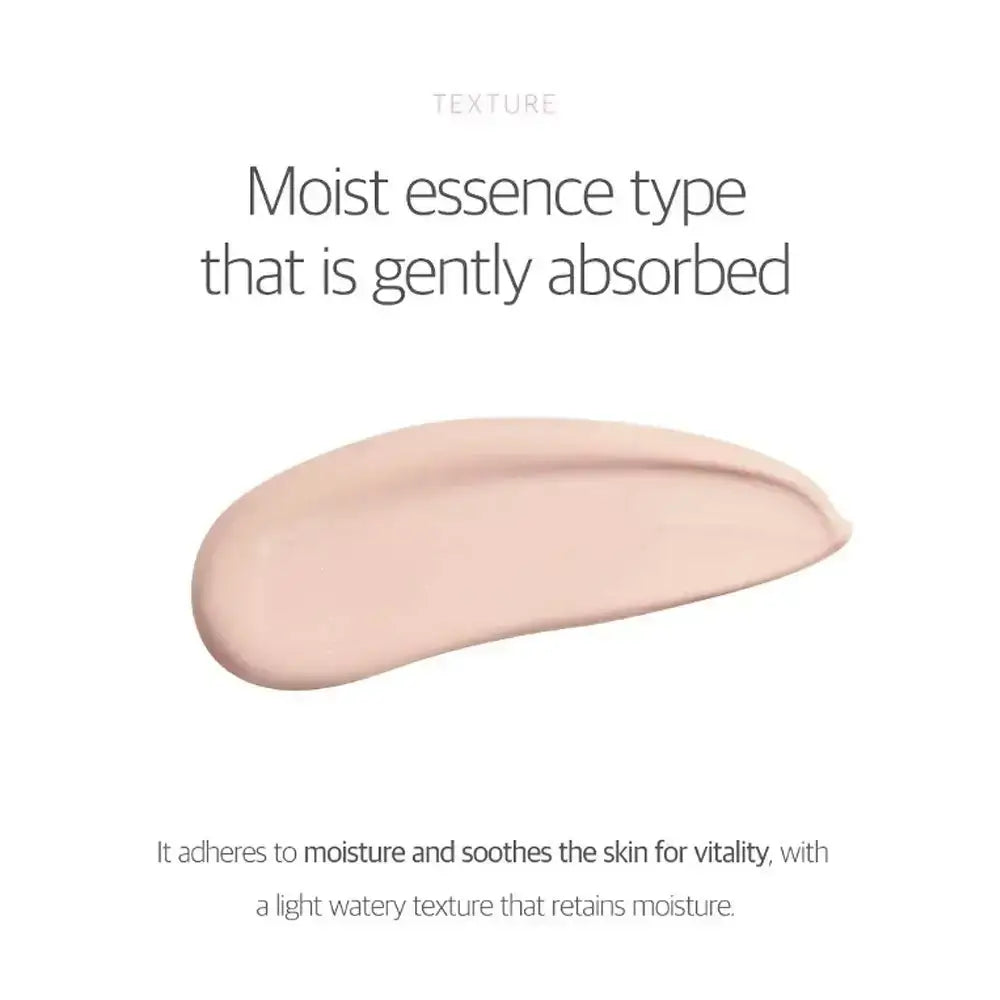 ROUND LAB Birch Moisture Tone-up Sonnencreme LSF 50+ - Gesichtscreme mit Birkensaft und Niacinamid für einen ebenmäßigen Hautton und Hautkomfort - 50 ml