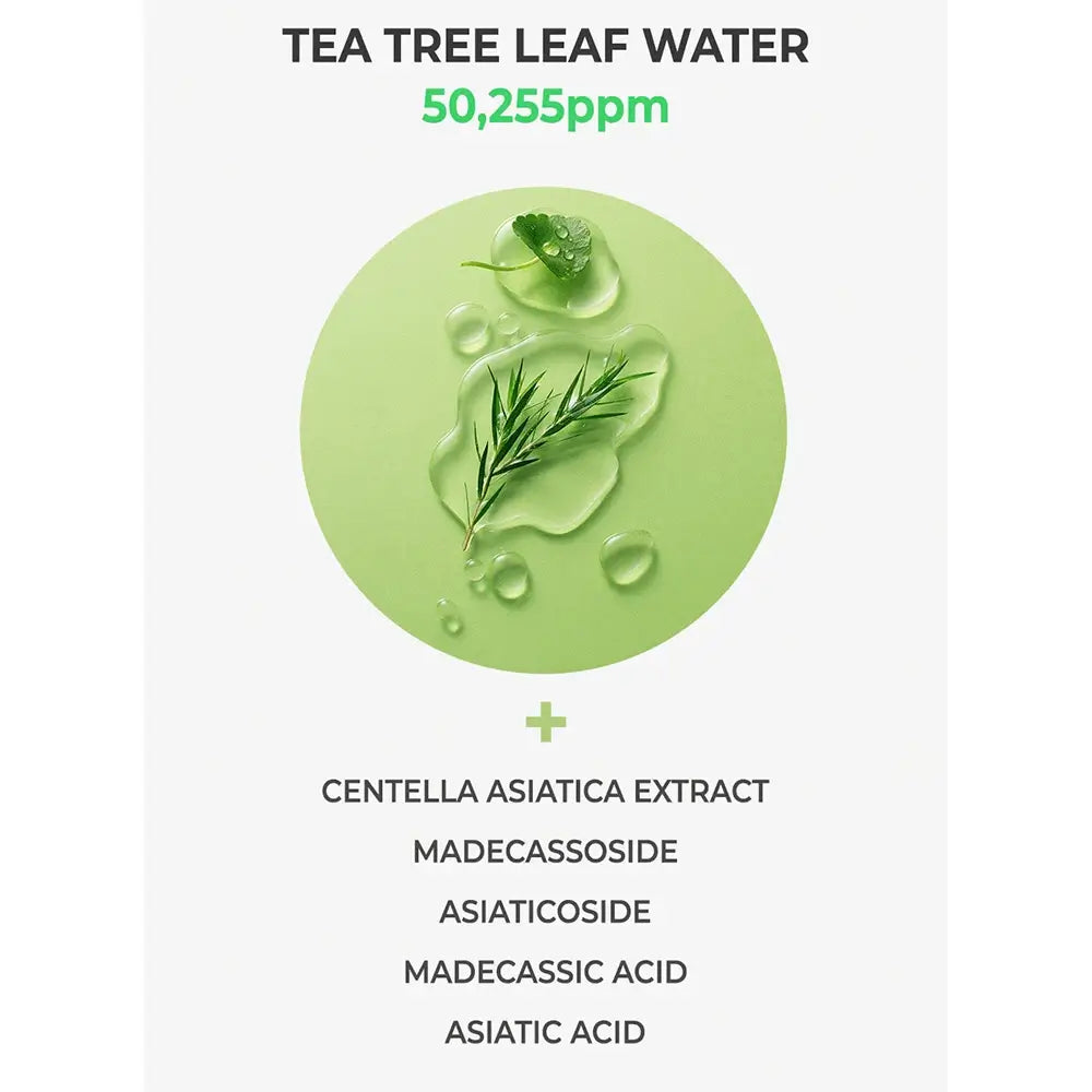 NATURE REPUBLIC Green Derma Toner Beruhigend mit Teebaumöl - Sanftes Peeling und Feuchtigkeit für empfindliche Haut, 500 ml