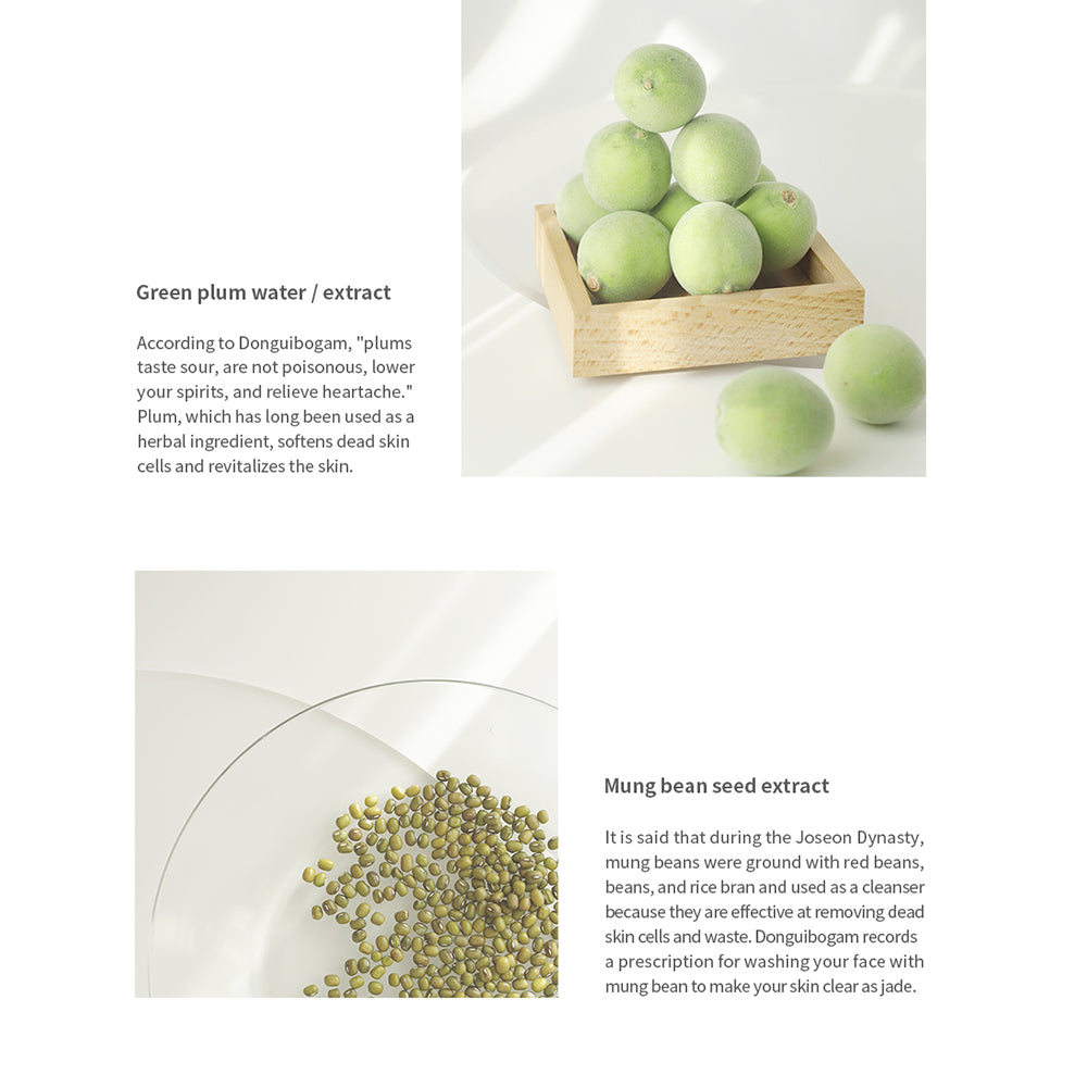 BEAUTY OF JOSEON Grüner Pflaumen-Reinigungs-Gel, formuliert mit Pflaumensamen-Extrakt und Mungbohnen-Extrakt, der zur Reinigung des Gesichts und zur Aufrechterhaltung der natürlichen Hautbarriere beiträgt - 100 ml