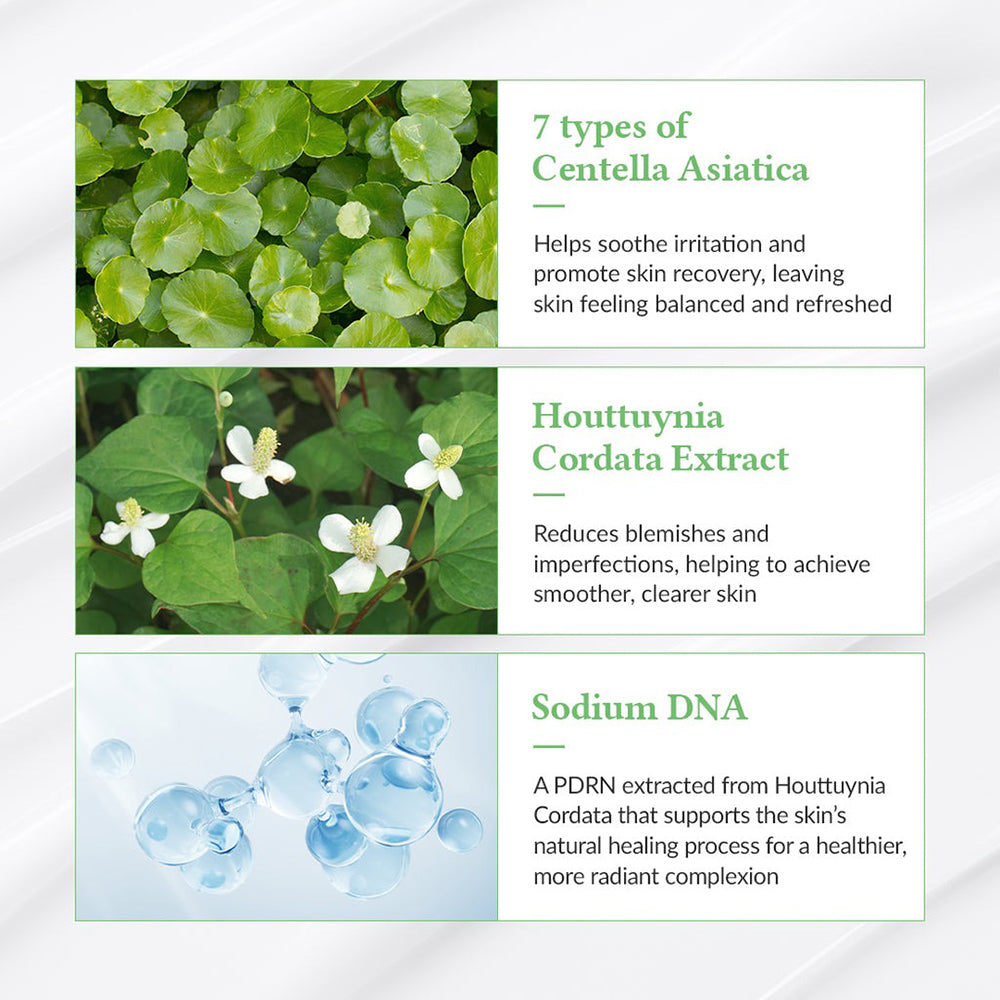 Dr. Althea Grüner Tee Sonnenschutz - Gesichtscreme mit Camellia Sinensis Blattwasser und Centella Asiatica Extrakt, beruhigt empfindliche Haut, UVA/UVB-Schutz SPF50 PA++++ - 45 ml