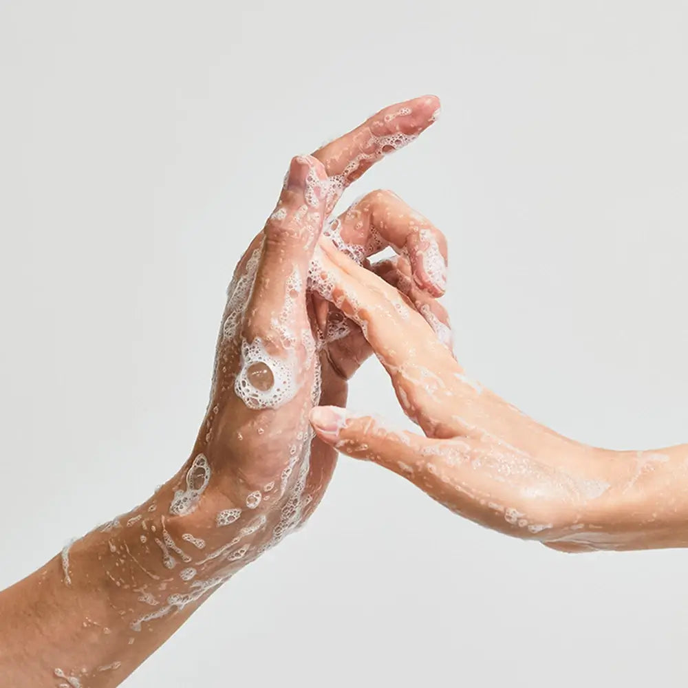 SKYBOTTLE Muhwagua Hand Wash - Parfümierte Flüssigseife mit Feigenfrucht und Feigenblatt für feuchtigkeitsspendende und geschmeidige Hände - 300 ml
