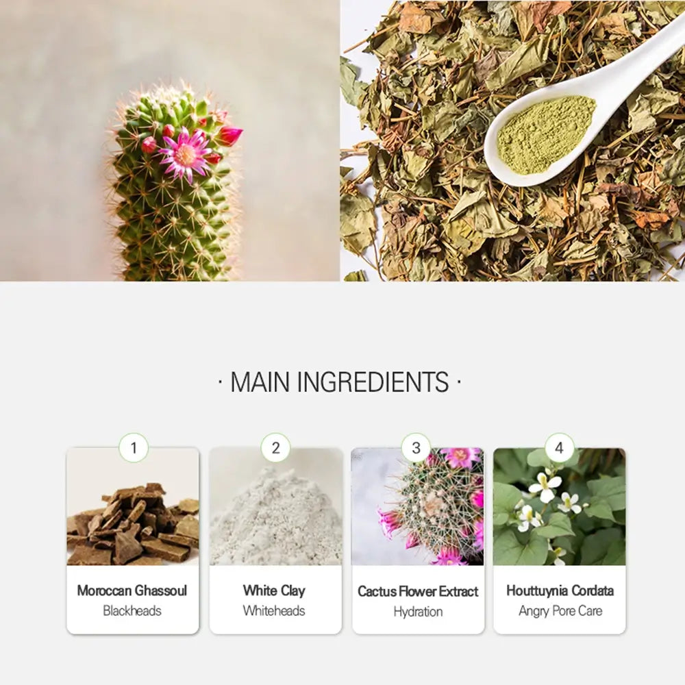 MIZON Pore Fresh Clear Nose Pack - Nasenpflaster zur Entfernung von Mitessern, formuliert mit Ghassoul-Tonerde und Kaktusblütenextrakt, zur Reinigung der Poren und Entfernung von Mitessern im Nasenbereich