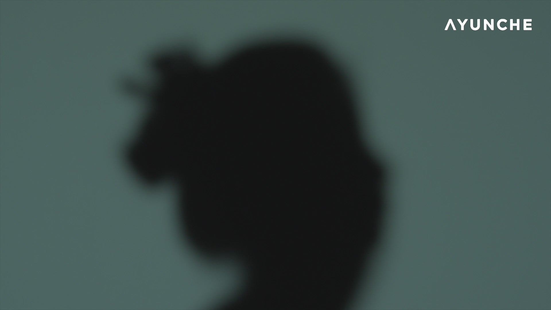 AYUNCHE Rebalancing Serum