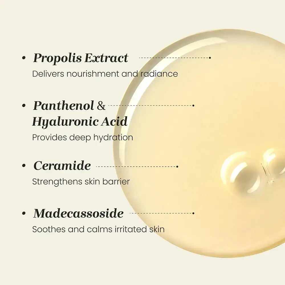 CNP LABORATORY Propolis Treatment Ampoule - feuchtigkeitsspendende Multifunktionsampulle mit Propolis- und Honigextrakt, die zur Hautfeuchtigkeit und zum Hautkomfort beiträgt - 150 ml