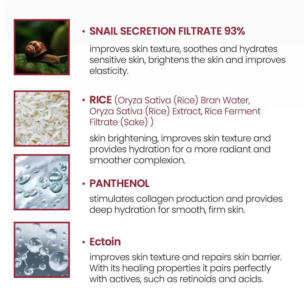 KSECRET Seoul 1988 Creme, Schneckenschleim 93% + Reis - Gesichtscreme mit Schneckenschleim und Reisextrakt, die zur Hautfeuchtigkeit und zur Aufrechterhaltung der natürlichen Barriere beiträgt - 100 ml