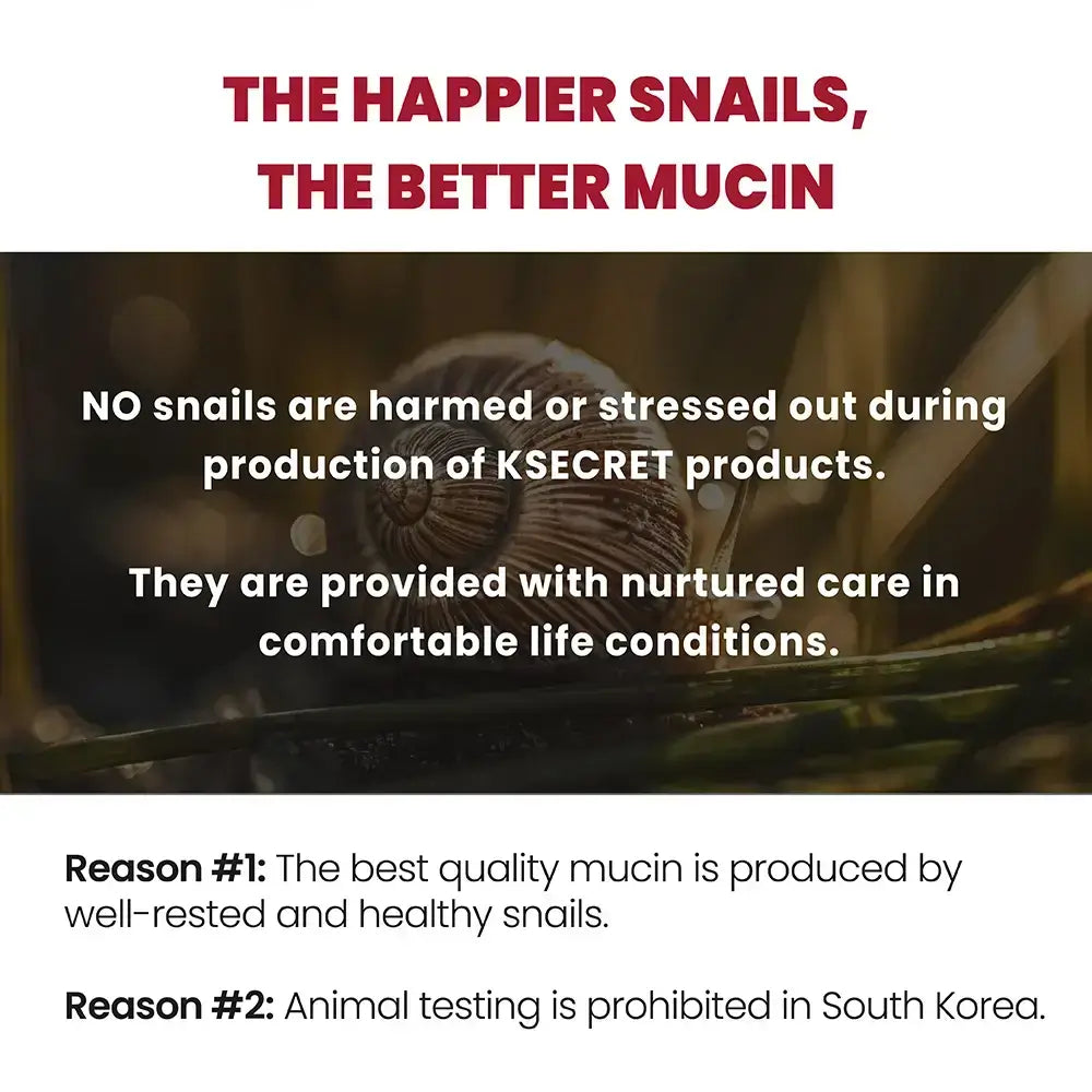 KSECRET Seoul 1988 Creme, Schneckenschleim 93% + Reis - Gesichtscreme mit Schneckenschleim und Reisextrakt, die zur Hautfeuchtigkeit und zur Aufrechterhaltung der natürlichen Barriere beiträgt - 100 ml