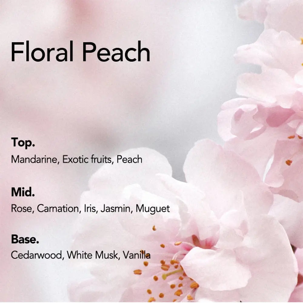 CURLY SHYLL Silky Oil - Haaröl mit Kameliensamenöl und Argankernöl zur Reparatur von trockenem oder geschädigtem Haar und zur Aufrechterhaltung eines glatten Aussehens - 70 ml