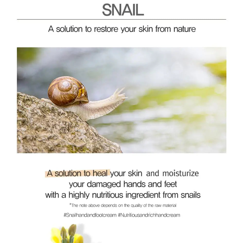 Mizon Snail Hand- und Fußcreme Reparierende Intensivpflege - Feuchtigkeit und Regeneration mit Schneckenextrakt, 100 ml