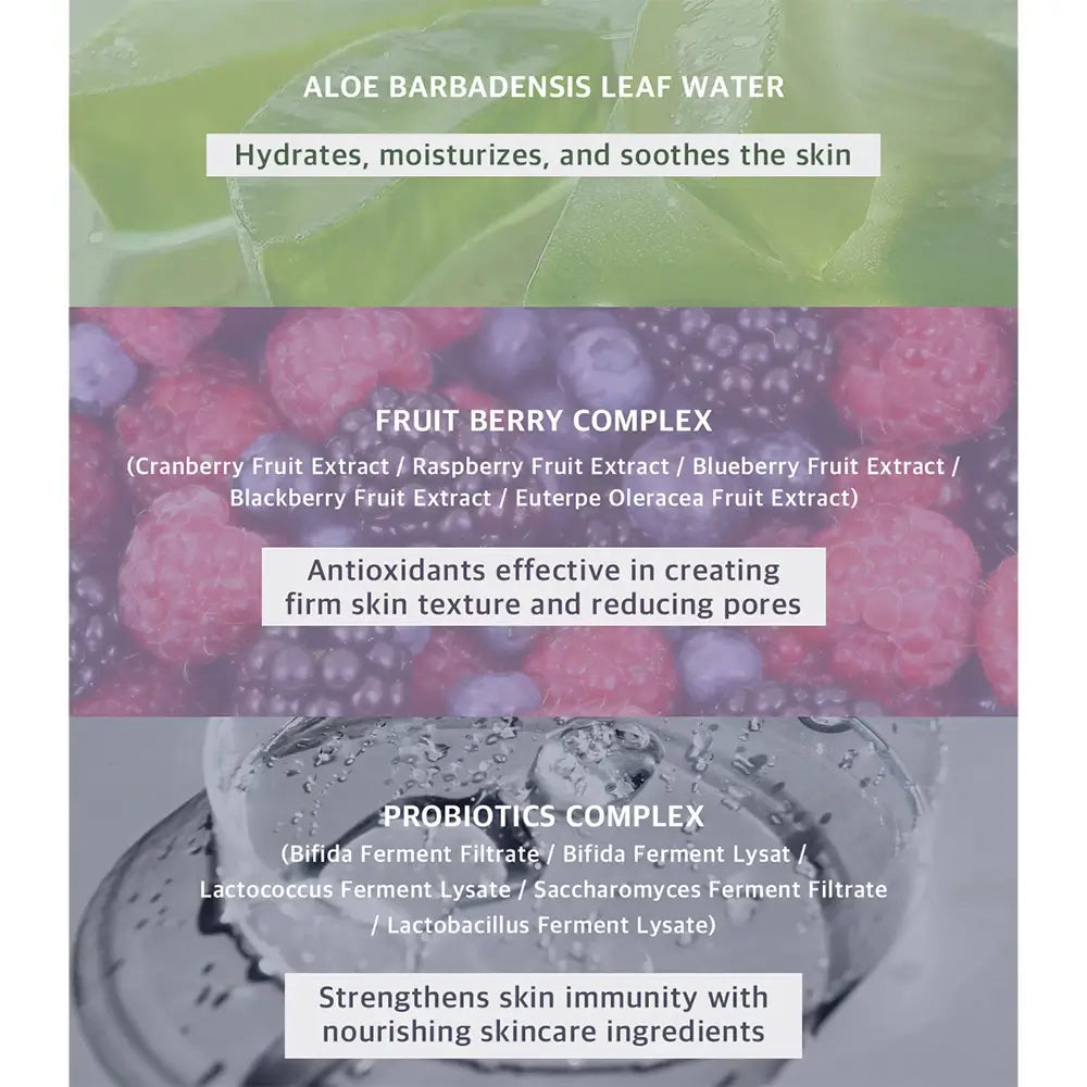 BLACK ROUGE Thin Layer Velour Cushion Fond de Ten Compact VC03 GINGER - Intensive Hydration and UV Protection, 15g