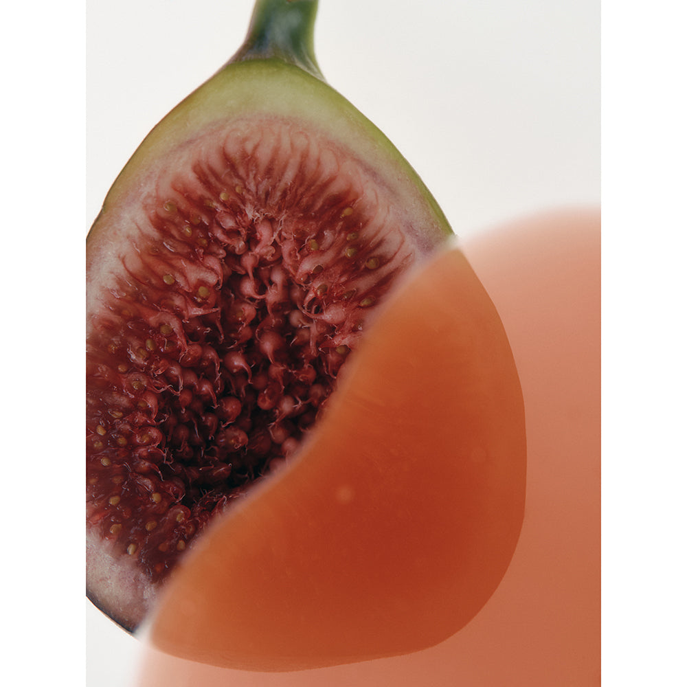 AXIS-Y Vita Glow Lip Oil - Cozy Fig