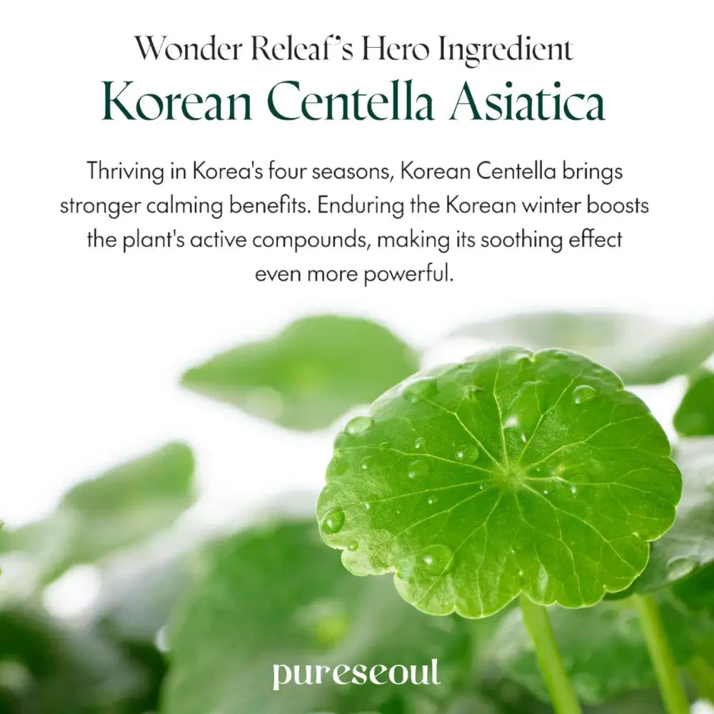 PURITO Wonder Releaf Centella Unscented - Set mit Centella Asiatica Extrakt und Panthenol zur Beruhigung empfindlicher Haut